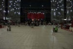 081020_Profloor0047